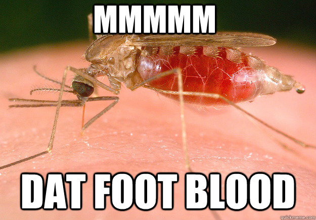 MMMMM dat foot blood  mosquito