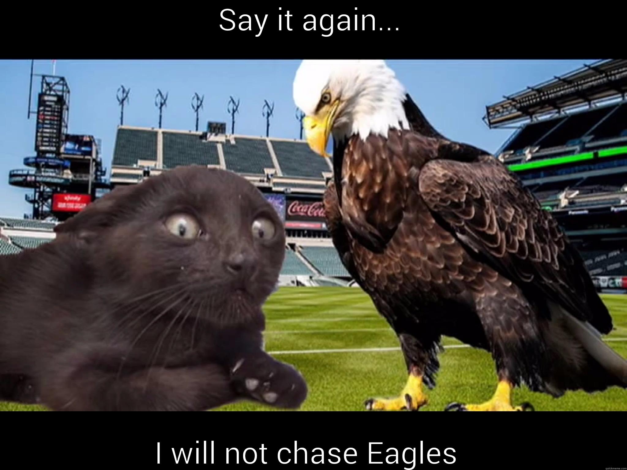 SAY IT AGAIN... I WILL NOT CHASE EAGLES  Misc