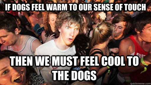 If dogs feel warm to our sense of touch then we must feel cool to the dogs  Sudden Clarity Clarence