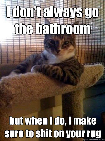 I don't always go the bathroom but when I do, I make sure to shit on your rug  The Most Interesting Cat in the World
