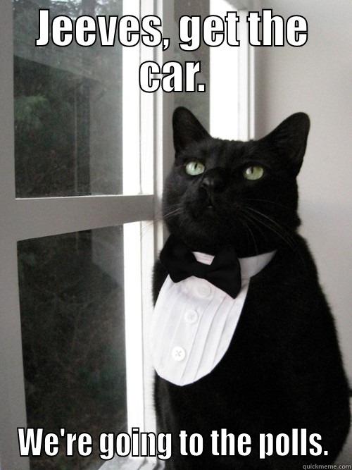 JEEVES, GET THE CAR. WE'RE GOING TO THE POLLS. 1% Cat