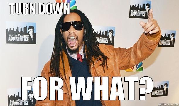 lil jon - TURN DOWN                                              FOR WHAT? Misc