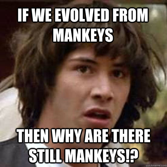 If we evolved from mankeys then why are there still mankeys!?  conspiracy keanu