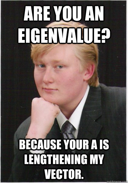 Are you an eigenvalue?  because your A is lengthening my vector. - Are you an eigenvalue?  because your A is lengthening my vector.  Seductive Nerd