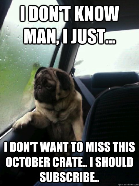 I don't know man, I just... I don't want to miss this October Crate.. I should subscribe..  Introspective Pug