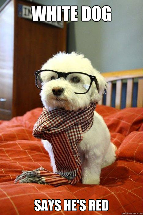 White dog says he's red  Hipster Dog