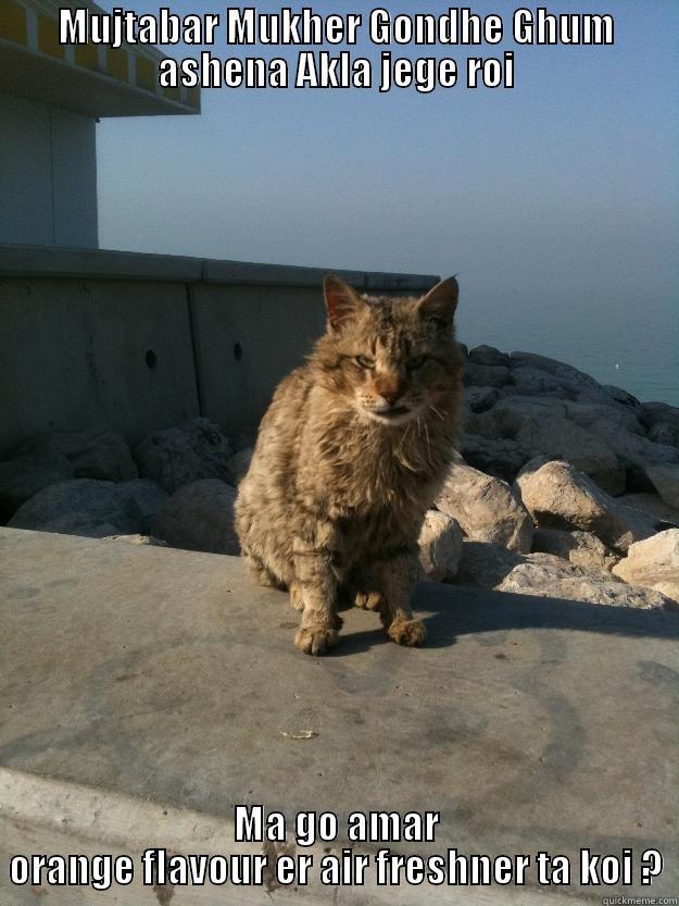 MUJTABAR MUKHER GONDHE GHUM ASHENA AKLA JEGE ROI MA GO AMAR ORANGE FLAVOUR ER AIR FRESHNER TA KOI ? Bitter Cat