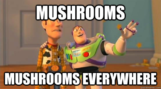 mushrooms mushrooms everywhere  Buzz Glitter