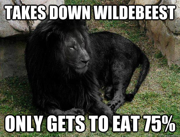 takes down wildebeest only gets to eat 75% - takes down wildebeest only gets to eat 75%  Black Lion Problems