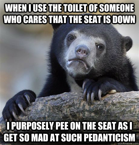 when i use the toilet of someone who cares that the seat is down i purposely pee on the seat as i get so mad at such pedanticism  Confession Bear