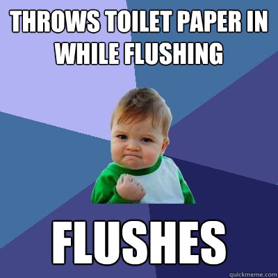 throws toilet paper in while flushing flushes - throws toilet paper in while flushing flushes  Success Kid