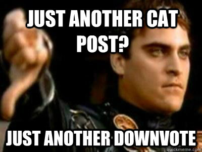just another cat post? just another downvote  Downvoting Roman