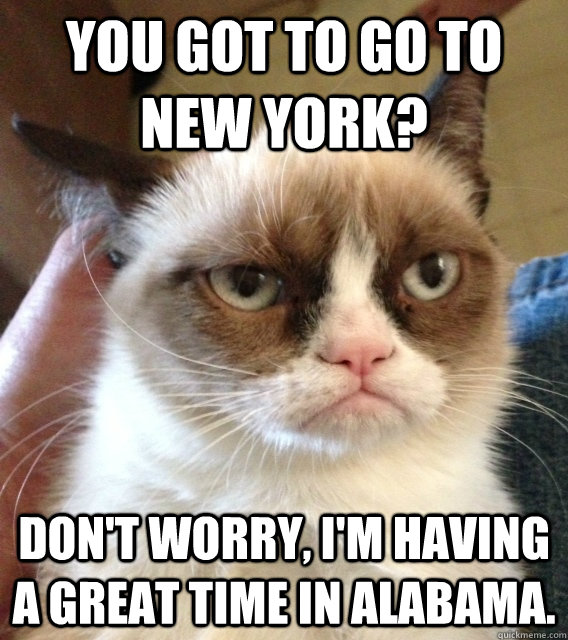 You got to go to New York? Don't worry, I'm having a great time in Alabama.  Not Amused Grumpy Cat