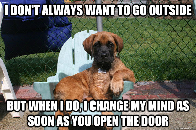 I don't always want to go outside but when i do, i change my mind as soon as you open the door - I don't always want to go outside but when i do, i change my mind as soon as you open the door  The Most Interesting Dog in the World