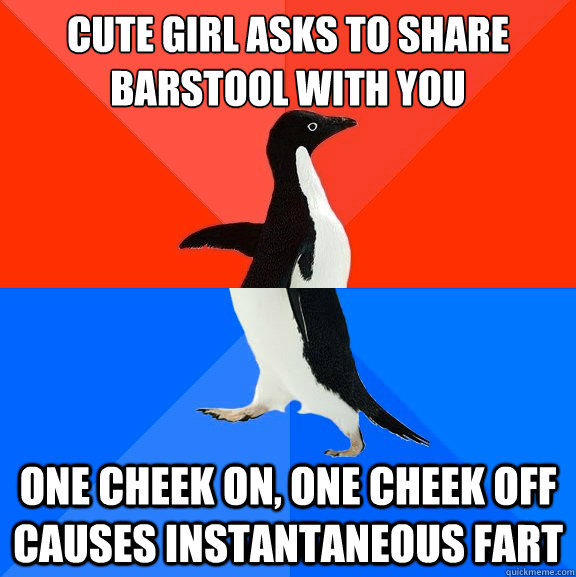 Cute girl asks to share barstool with you One cheek on, one cheek off causes instantaneous fart   Socially Awesome Awkward Penguin