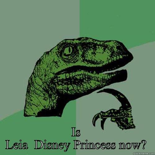   IS LEIA  DISNEY PRINCESS NOW? Philosoraptor