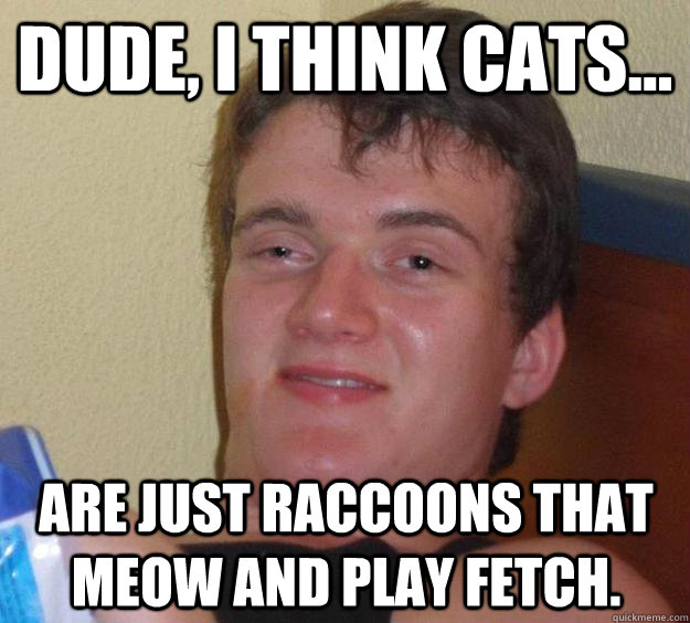 Dude, I think Cats... Are just Raccoons that Meow and play fetch.  10 Guy