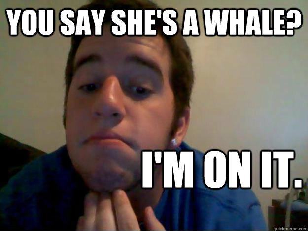 You say she's a whale? I'm on it.   