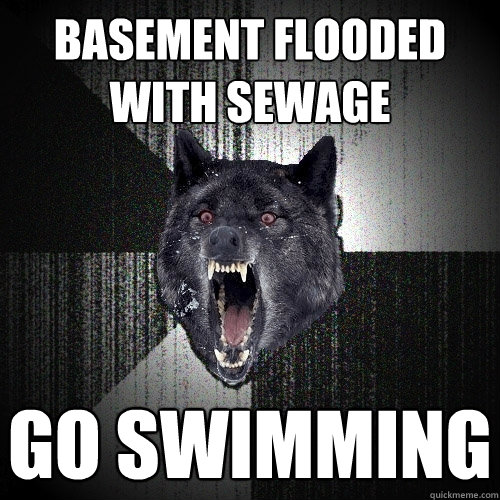 basement flooded with sewage go swimming - basement flooded with sewage go swimming  Insanity Wolf