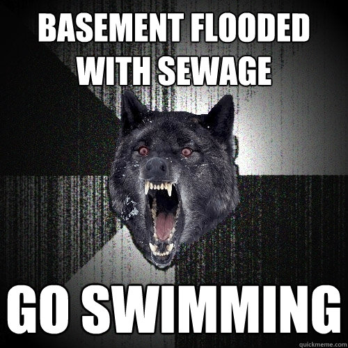basement flooded with sewage go swimming  Insanity Wolf