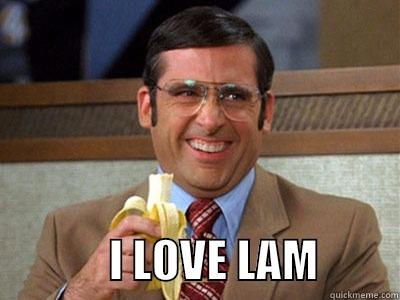 i love lamp -                             I LOVE LAM         Brick Tamland