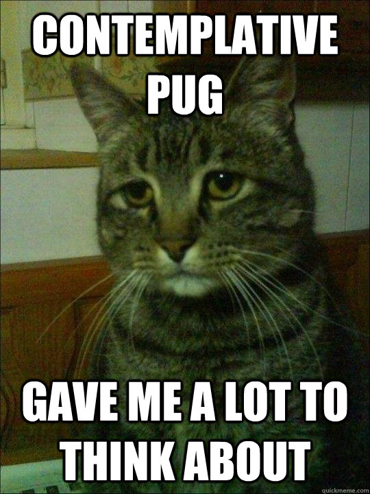 contemplative pug gave me a lot to think about - contemplative pug gave me a lot to think about  Depressed cat