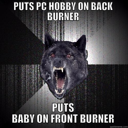 PUTS PC HOBBY ON BACK BURNER PUTS BABY ON FRONT BURNER Insanity Wolf