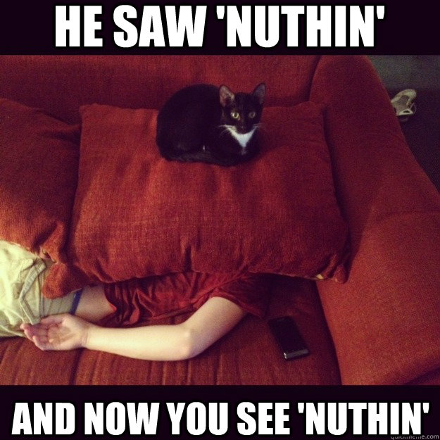 He saw 'nuthin' And now you see 'nuthin'  jealous cat