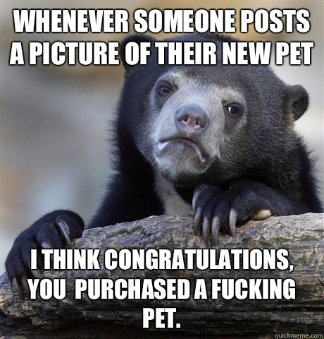 Whenever someone posts a picture of their new pet I think congratulations, you  purchased a fucking pet.   Confession Bear