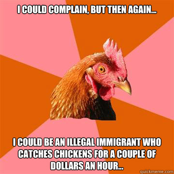 I could complain, but then again... I could be an illegal immigrant who catches chickens for a couple of dollars an hour... - I could complain, but then again... I could be an illegal immigrant who catches chickens for a couple of dollars an hour...  Anti-Joke Chicken