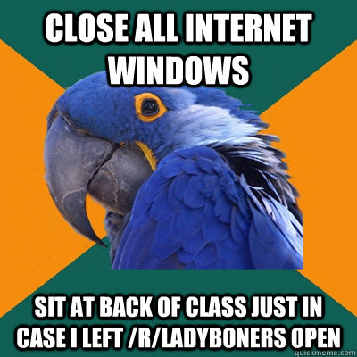 Close all internet windows sit at back of class just in case I left /r/ladyboners open - Close all internet windows sit at back of class just in case I left /r/ladyboners open  Paranoid Parrot