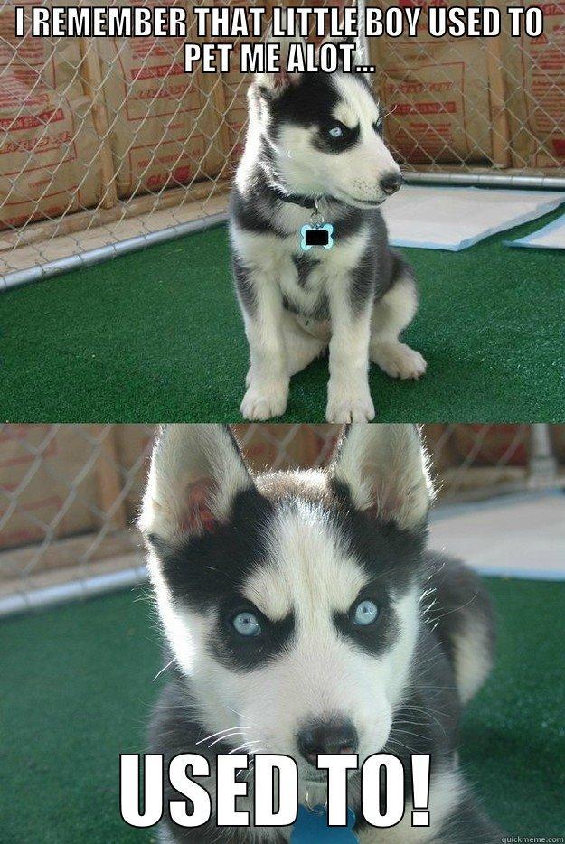 I REMEMBER THAT LITTLE BOY USED TO PET ME ALOT... USED TO! Insanity puppy
