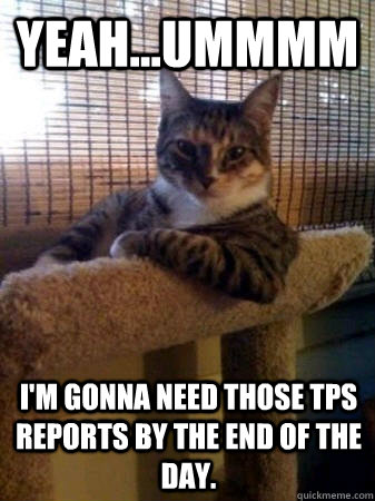 Yeah...Ummmm I'm gonna need those TPS reports by the end of the day.  The Most Interesting Cat in the World