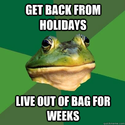 Get back from holidays Live out of bag for weeks  Foul Bachelor Frog