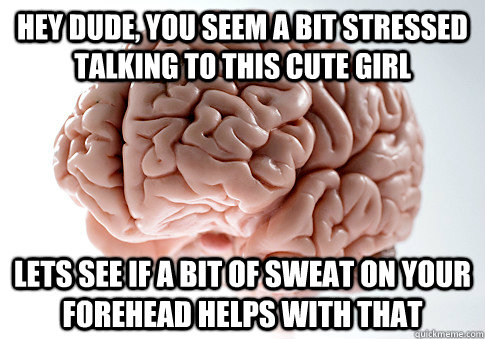 Hey dude, you seem a bit stressed talking to this cute girl Lets see if a bit of sweat on your forehead helps with that   Scumbag Brain