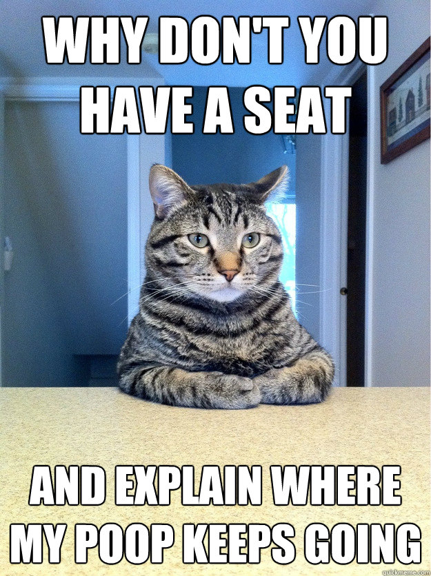 Why don't you have a seat and explain where my poop keeps going  Chris Hansen Cat