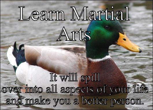 LEARN MARTIAL ARTS IT WILL SPILL OVER INTO ALL ASPECTS OF YOUR LIFE AND MAKE YOU A BETTER PERSON. Actual Advice Mallard