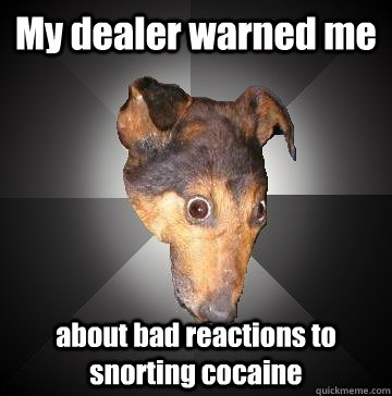 My dealer warned me about bad reactions to snorting cocaine - My dealer warned me about bad reactions to snorting cocaine  Depression Dog