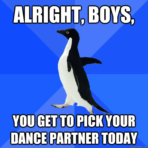alright, boys,  you get to pick your dance partner today  Socially Awkward Penguin