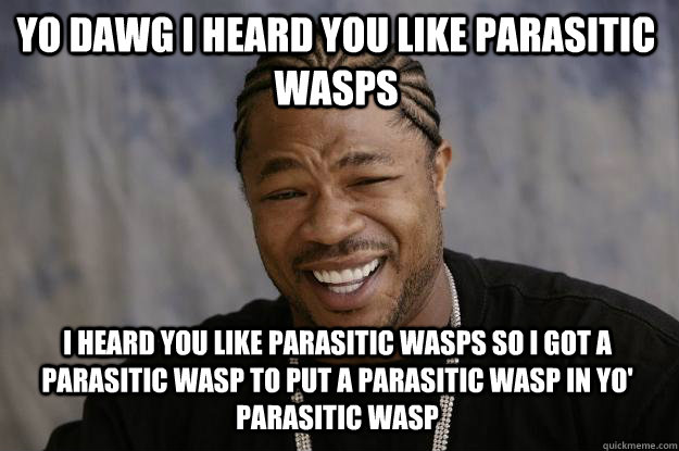 YO DAWG I HEARD YOU LIKE PARASITIC WASPS I HEARD YOU LIKE PARASITIC WASPS SO I GOT A PARASITIC WASP TO PUT A PARASITIC WASP IN YO' PARASITIC WASP  Xzibit meme