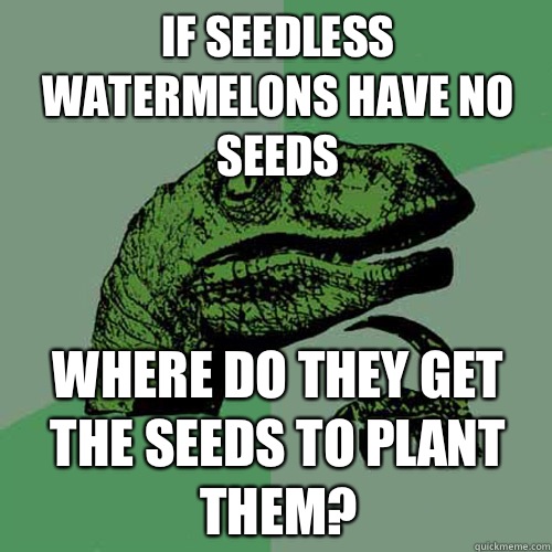 If seedless watermelons have no seeds Where do they get the seeds to plant them? - If seedless watermelons have no seeds Where do they get the seeds to plant them?  Philosoraptor