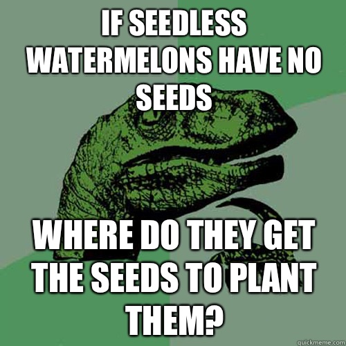 If seedless watermelons have no seeds Where do they get the seeds to plant them?  Philosoraptor
