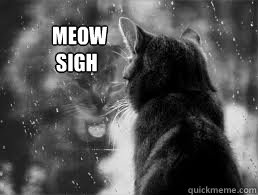 Meow
 Sigh  Sad cat