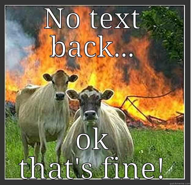 NO TEXT BACK... OK THAT'S FINE! Evil cows