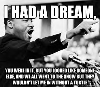 I had a dream,
 You were in it, but you looked like someone else, and we all went to the snow but they wouldn't let me in without a turtle  