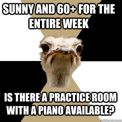 Sunny and 60+ for the entire week Is there a practice room with a piano available? - Sunny and 60+ for the entire week Is there a practice room with a piano available?  Music Major Ostrich