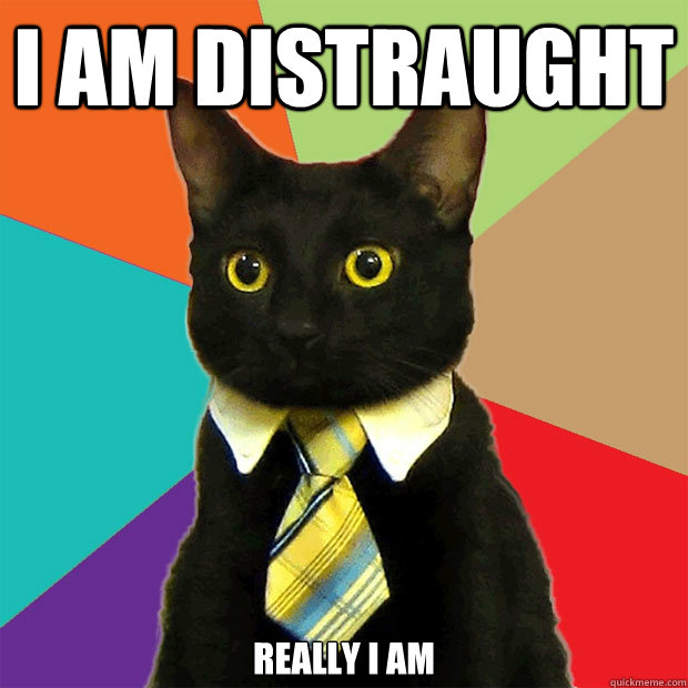 i am distraught really i am  Business Cat