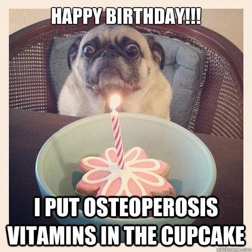 Happy Birthday!!! I put Osteoperosis vitamins in the cupcake  Scared birthday pug