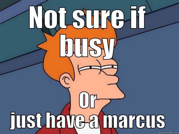 NOT SURE IF BUSY OR JUST HAVE A MARCUS Futurama Fry