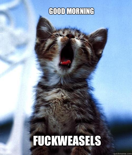 Fuckweasels Good morning - Fuckweasels Good morning  Good morning